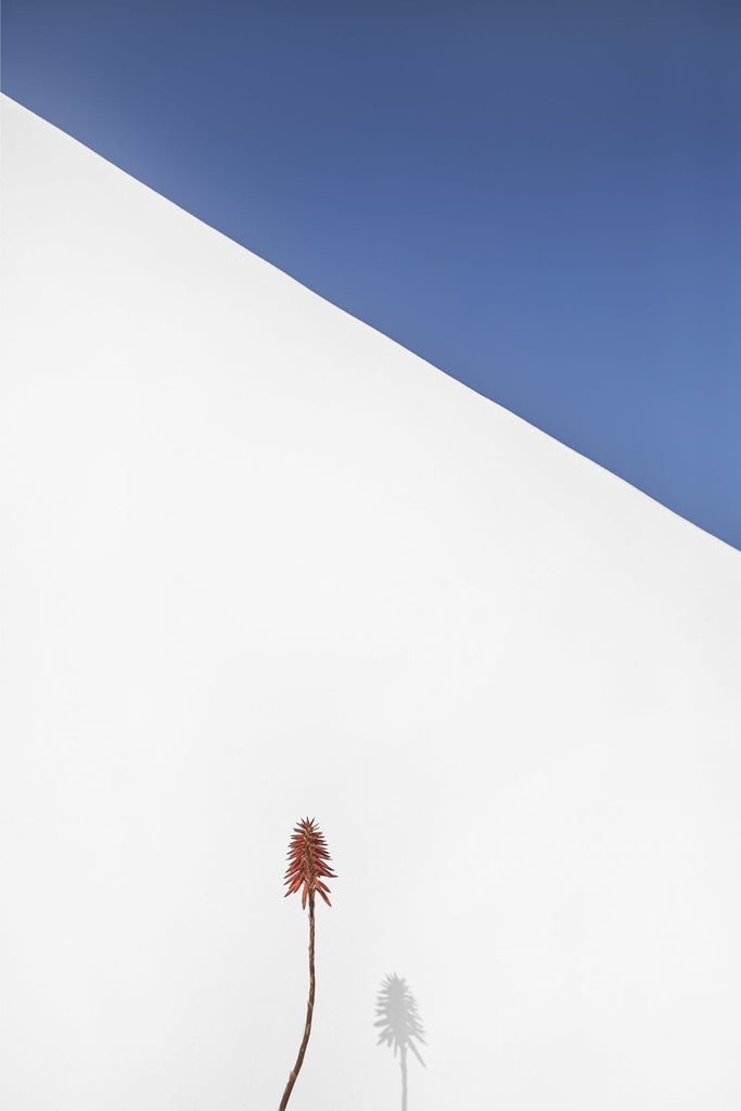 Limited Edition, Fine Art Photo Print Art for sale by Paris photographer, Heidi Jean Studio Paris. Minimalist architecture. Original, minimalist art prints to decorate your interior spaces. 